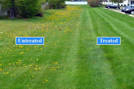 grass weeding