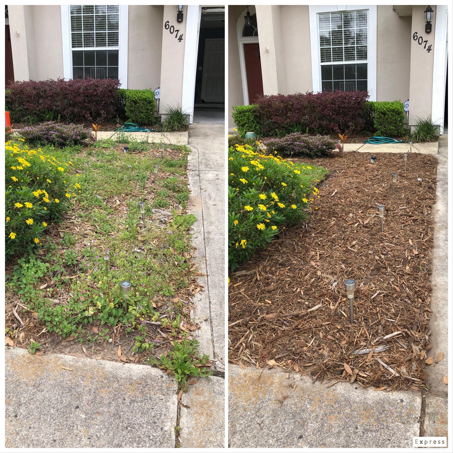 garden and back yard weed removal