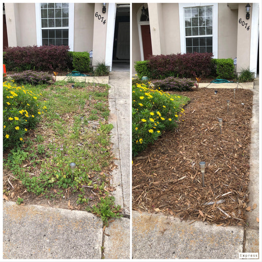 garden and back yard weed removal